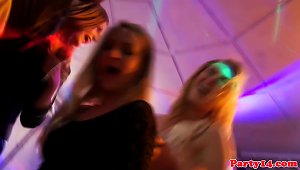 European Amateurs At Group Sex Party Sucking Dick